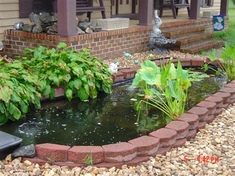Our Koi and Ponds - Page 7 