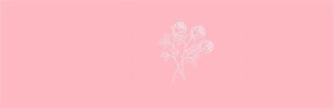 Download Color Pink With Line Art Roses Twitter Header Wallpaper | Wallpapers.com