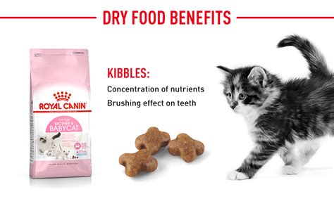 Royal Canin Second Age Kittens Food Kg Buy Online At Best Price