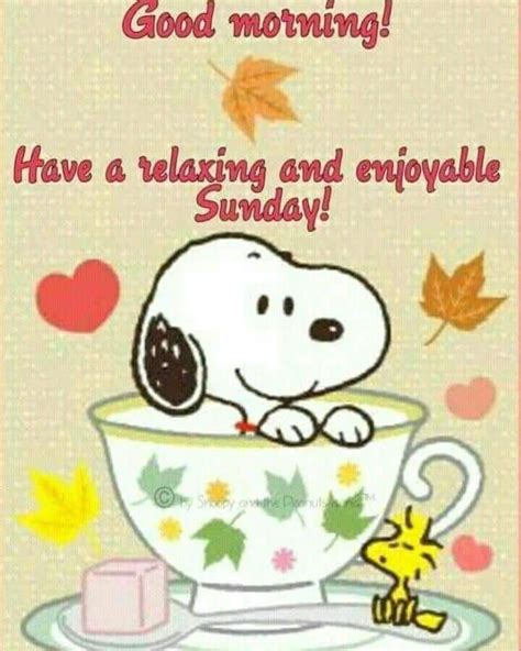 Saturday Morning Quotes Good Morning Snoopy Sunday Quotes Funny