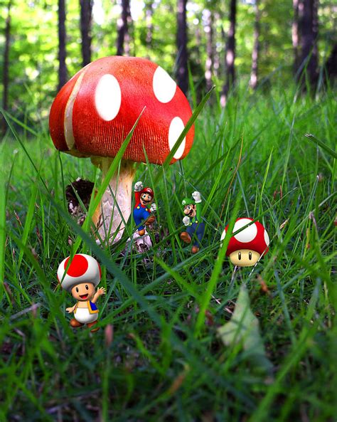 Super Mario Bros Mushroom Photograph by Joe Myeress - Pixels