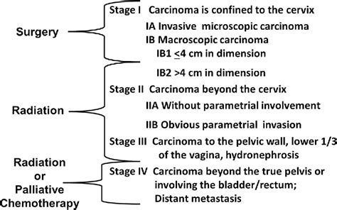 Mr Imaging Of Cervical Cancer Semantic Scholar