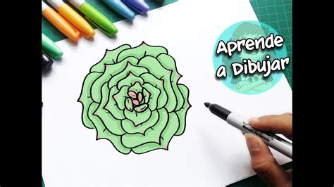 Como Dibujar Una Planta Suculenta Dibustrador Studio YouTube