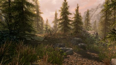 Bethesda Working to Make Skyrim Remaster "as Next-Gen as Possible" For ...