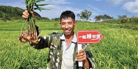 把电商扶贫助农从模式转变为范式，谁更大有可为？保山