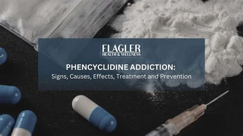 Phencyclidine Addiction: Signs, Causes, Effects, Treatment and ...