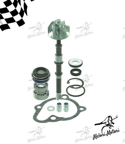 Kit Revisione Pompa Acqua Kymco Dink 125 150cc Meloni Motori