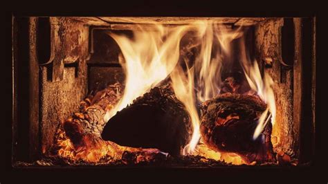 5 Wood Burning Stove Safety Tips For Every Home Chesneys