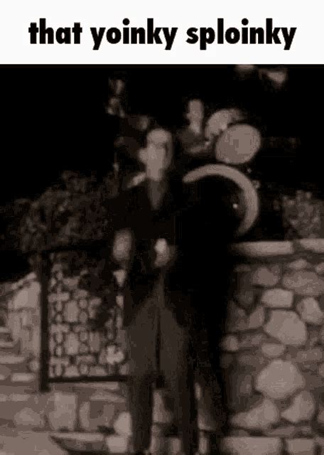 Elvis Costello Dance  Elvis Costello Dance Dancing Discover