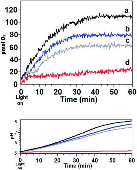 Visible Light Promoted Photocatalytic Water Oxidation Effect Of