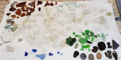 Yesterday's finds at Sand Beach on Monterey Bay, California. Note the