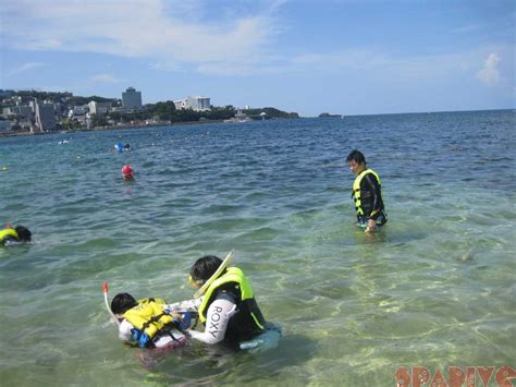 南紀白浜スパダイブの海フォトギャラリー！和歌山県を中心に撮影した写真集