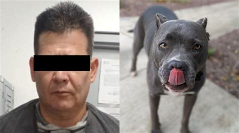 Nuevo Le N Hombre Es Arrestado Por Matar Con Machete A Dos Perros La