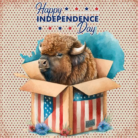 independence day america july   stock photo public domain pictures