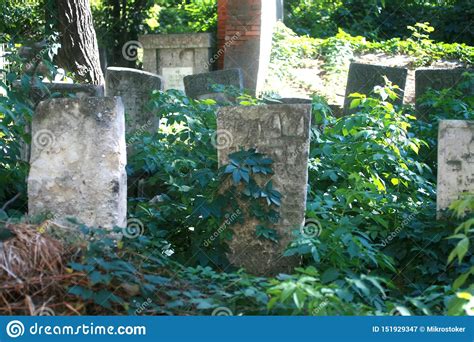 Cemit Rio Judaico Velho Sepulturas E Monumentos Judaicos Imagem De