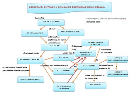 ϟϟکαמðяα qυiintєяσ ϟ ﾟﾟ Mapa Conceptual Lectura III ﾟ