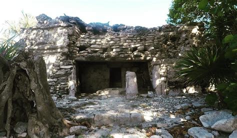 Una De Las Sorpresas Que Tuvimos Al Alojarnos En Playa Del Carmen En