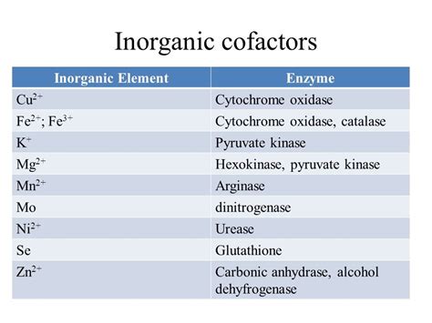 14 List The Main Differences Between Mitosis And Meiosis 15 What Are