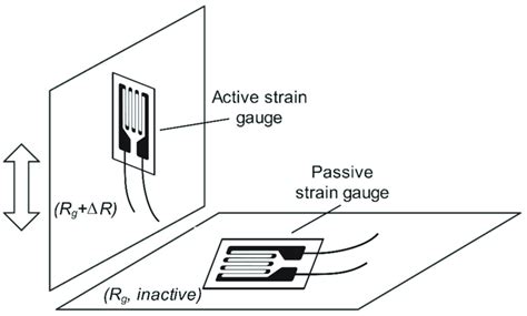 Configuration Placement Of Active And Passive Strain Gauges Download Scientific Diagram