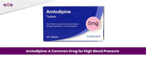 Amlodipine A Common Drug For High Blood Pressure WoW Health