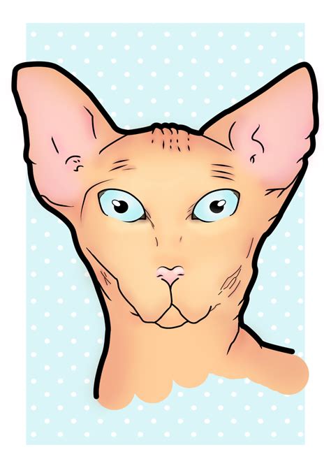 Sphynx Cat By Franky On Deviantart Sphynx Cat