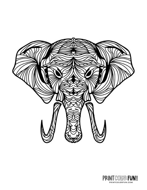 8 Elephant Adult Coloring Pages That Are Decorative And Detailed At