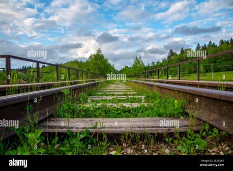 An Old Abandoned Railway Overgrown With Green Grass Stock Photo Alamy