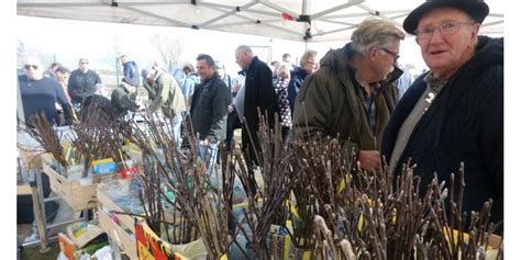 Lun Ville Bourse Aux Greffons Darbres Fruitiers Ce Samedi