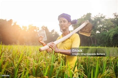 Portrait Of A Farmer Showing His Saving Money Standing In The Paddy