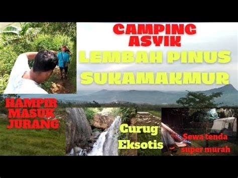 Lembah Pinus Sukamakmur Camping Ground Keren Dengan Biaya Terjangkau