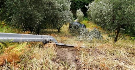 Arena Finisce Con Lauto In Un Burrone Ma Viene Salvata Da Un Albero