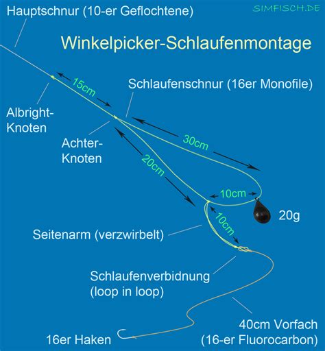 Weißfische angeln Köder Montagen Technik Simfisch de