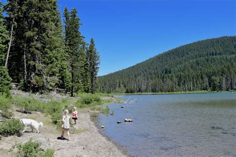 Frog Lake, Oregon: Mt Hood campground, trail + polliwog paradise!