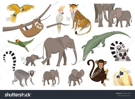 Set Jungle Animals Safari Elephant Leopard Stock Vector Royalty Free