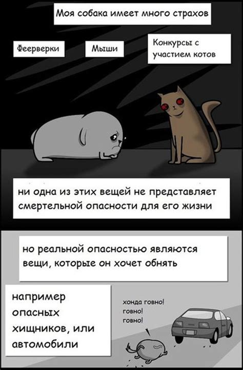 Скачать прикольные и красивые картинки: Мой пес - парадокс на fun ...
