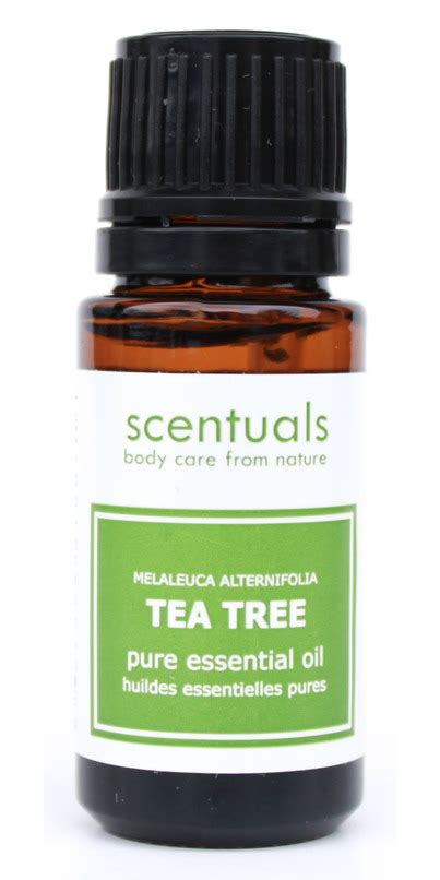 Buy Scentuals Pure Essential Oil At Well Ca Free Shipping 35 In Canada