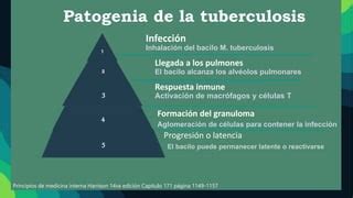 Introduccion A La Tuberculosis Pptx Docu PPT