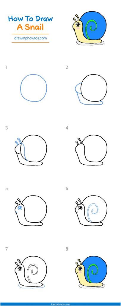 How To Draw A Snail Step By Step Easy Drawing Guides Drawing Howtos