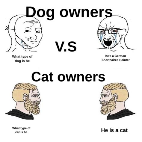 Dog Owners V.S Cat Owners : r/memes