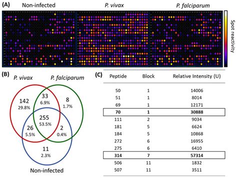 Identification And Serological Responses To A Novel Plasmodium Vivax