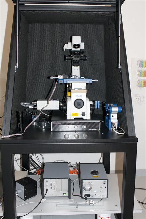 Jpk Atomic Force Microscope Dambic