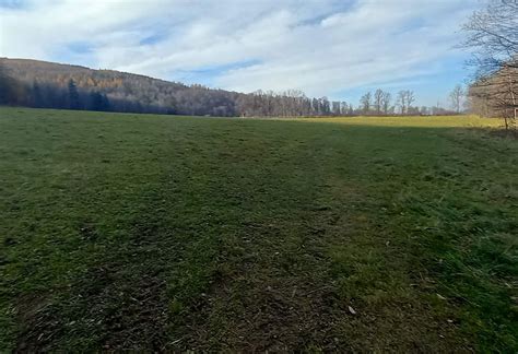 Jelenia Gora New Jewish Cemetery ESJF Surveys