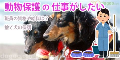 動物保護の仕事がしたい、資格や給料は？働くには職の探し方 ｜ 犬のqanda 口コミ集