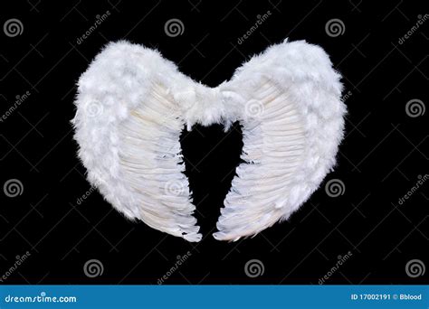 White Angel Wings Side View