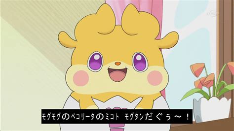 On Twitter Cocotama Tvtokyo Https