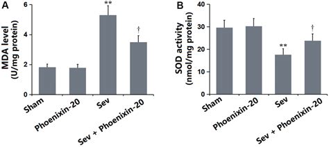 Phoenixin Ameliorates Sevoflurane Inhalation Induced Post Operative