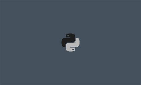 Minimalist Python Python Pythons Hd Wallpaper Pxfuel