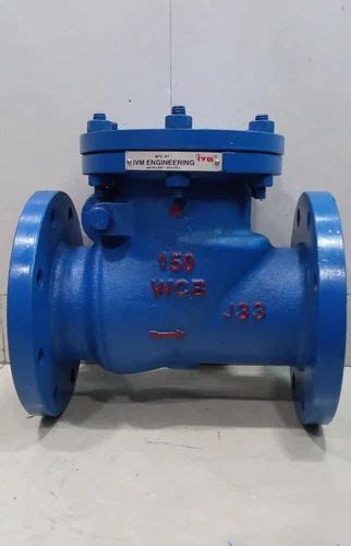 Csss Cast Iron Non Return Valve Size 25mm To 600mm At Rs 2200piece In Ahmedabad