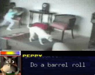 [Image - 254] | Do a Barrel Roll | Know Your Meme