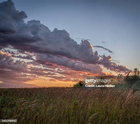 3,756 Grassy Hills Sunset Stock Photos, High-Res Pictures, and Images ...